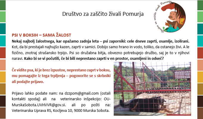 PSI V BOKSIH, SAMA ŽALOST!